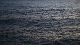 Pacifique : trois marins sauvés après avoir envoyé un message de détresse en feuilles de palmier