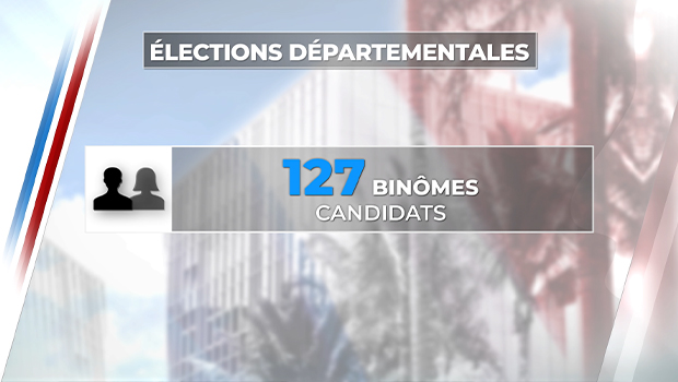 Elections départementales binômes
