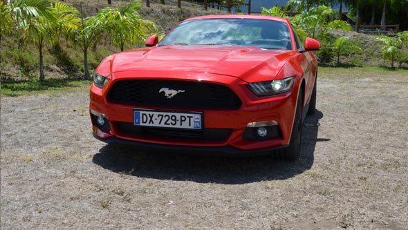 <p>Ford Mustang - Automobile - La Réunion</p>