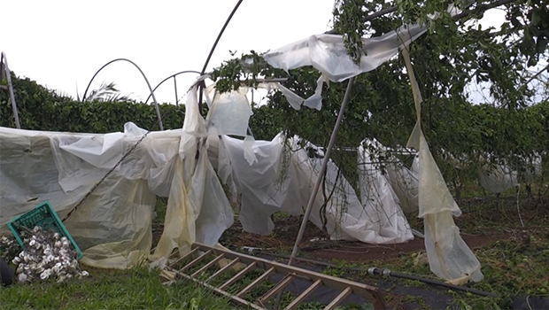 Le cyclone Batsirai, un coup dur pour les agriculteurs de l’île