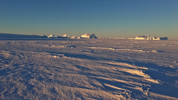 Arctique - Antarctique