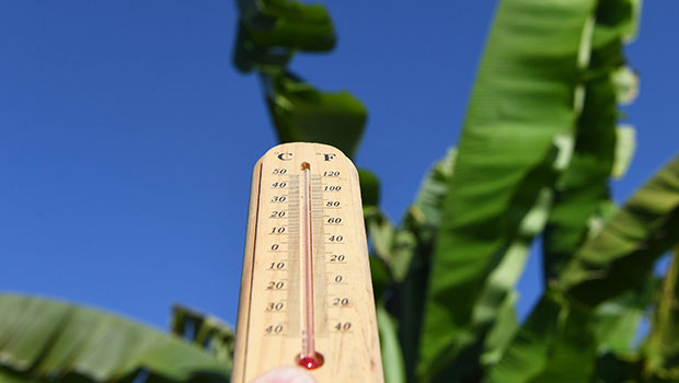 ¡Increíblemente, España está por debajo de los 30 grados en pleno invierno!  – LINFO.re