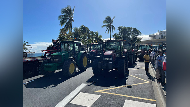 Convention canne : les planteurs bloquent le Barachois avec leurs tracteurs 