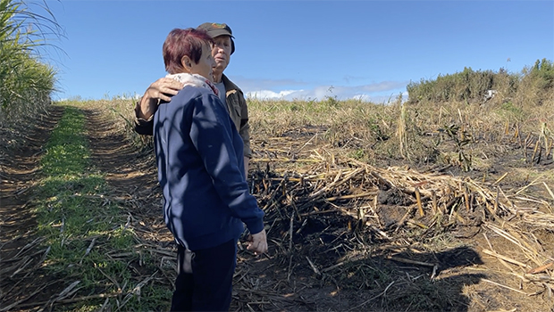 Saint-Pierre : 450 tonnes de cannes parti en fumée après un incendie, un an de travail perdu pour des agriculteurs du sud 
