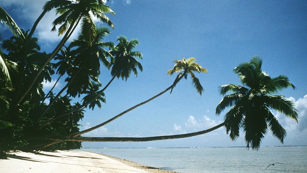 Archipel des Chagos - Mai 2024