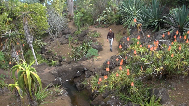 Découverte - Jardin botanique de Mascarin - La Réunion