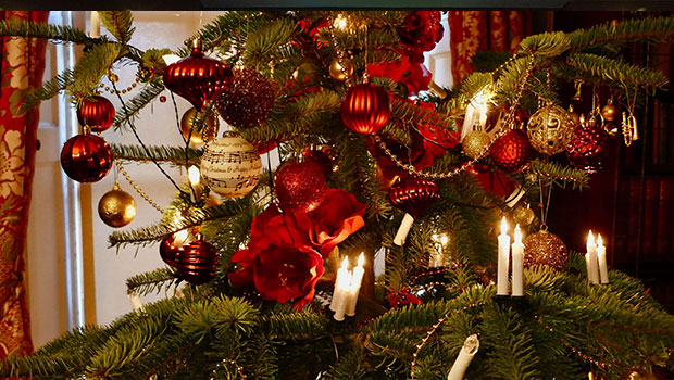 la bougie de cierges scintillants de noël brûle dans le fond de l'arbre de  noël. décoration d'éclairage de noël à la maison à l'intérieur. la magie  festive étincelle des lumières pour la
