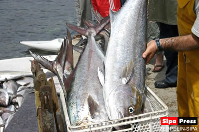 COI : Formation à la lutte contre la pêche illégale 