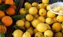 Orange - Citron - Agrumes