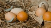 Alimentation : pourquoi faut-il éviter de conserver les œufs dans la porte d'un réfrigérateur ? 