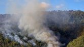 Madagascar : les feux de forêt au parc d'Ankarafantsika persistent