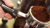 Marc de café : 10 utilisations au jardin et à la maison