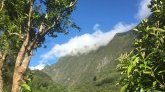 Météo à La Réunion : les principaux sommets gardent le soleil !
