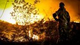 Chili : de violents feux de forêt font une dizaine de morts 