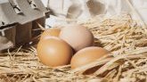 Île-de-France : l'ARS recommande toujours d'éviter les œufs provenant des poulaillers domestiques