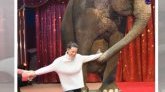 Happée par un éléphant, Stéphanie de Monaco revient sur l'exploitation des animaux au cirque