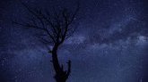 Ne ratez pas la pluie d'étoiles filantes des Orionides cette nuit ! 