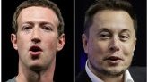 Combat Zuckerberg vs Musk : "Elon n'est pas sérieux", selon le patron de Meta