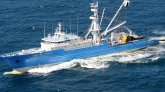 Clusters en mer : la SAPMER demande la vaccination des marins