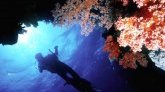 Karine Pothin : "La santé des récifs coralliens réunionnais est mitigée"