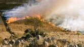 Madagascar - Parc d‘Ankarafantsika : un millier d'hectares ravagés par le feu