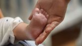 Oise : les parents appellent leur bébé "M", le juge des affaires familiales saisi