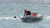 St-Pierre : un jeune homme de 23 ans en vacances sur l'île happé par une vague, les recherches se poursuivent ce matin 