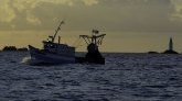 Brexit : la France obtient 1 054 licences de pêche
