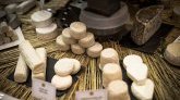 Rhône : une fillette de 7 ans perd 80 % de ses fonctions rénales après avoir consommé du fromage contaminé