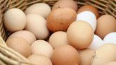 Pourquoi la consommation d'œufs connaît une hausse impressionnante ?