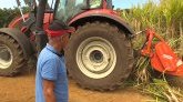 Canne à sucre : un bonus pour les planteurs Réunionnais selon les bénéfices de la filière