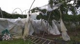 Cyclone Batsiraï et épisode de fortes pluies dans le Sud : 56 exploitants indemnisés par l'État suite aux pertes agricoles 