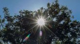 Moyenne de 14,4°C : 2023 deuxième année la plus chaude enregistrée en Hexagone