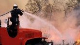 Incendies : près de 350 000 hectares de forêt ravagés en Espagne et au Portugal